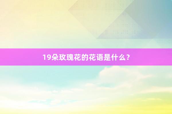 19朵玫瑰花的花语是什么?